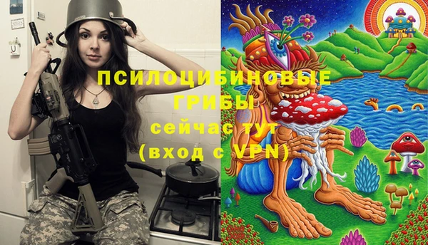 a pvp Пестово