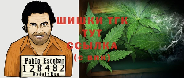 крисы Пересвет