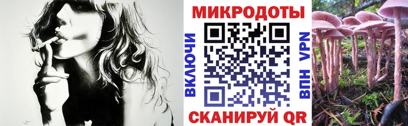 Галлюциногенные грибы MAGIC MUSHROOMS  omg ONION  Александров 